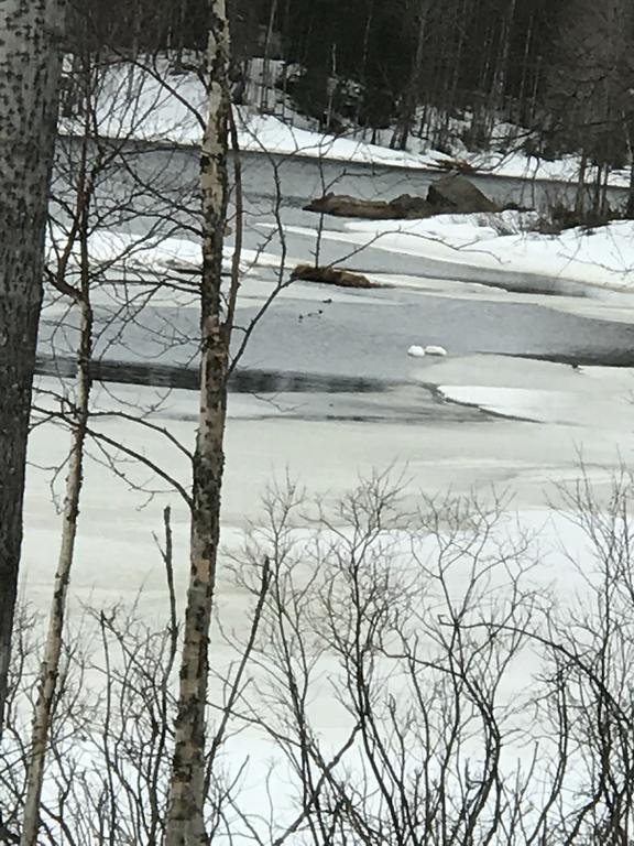 Villa Somosenranta Oikarainen Esterno foto
